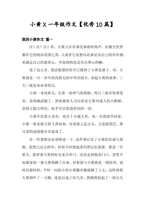 小黄X一年级作文【优秀10篇】