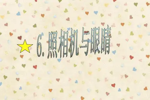 99照相机与眼睛.ppt99