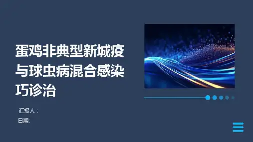 蛋鸡非典型新城疫与球虫病混合感染巧诊治