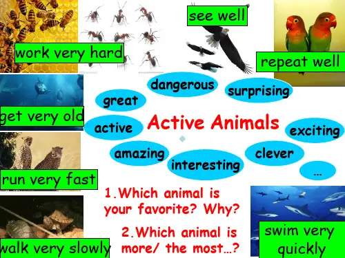 Unit5Activeanimalsppt课件小学英语深港版英语六年级下册课件_5
