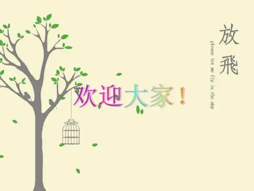 中国癫痫临床诊疗指南完整版 PPT