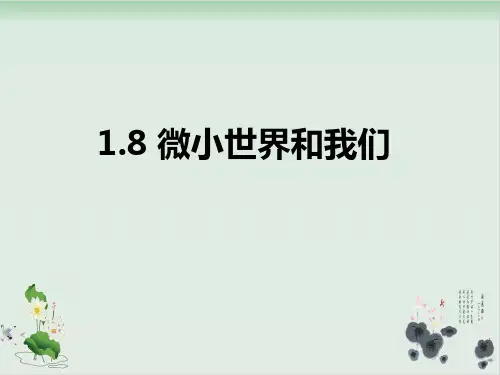 六年级下册科学课件PPT：《微小世界和我们》 教科版