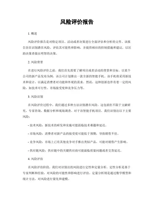 风险评价报告