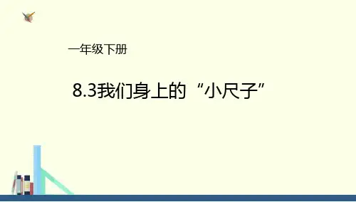 青岛版 一年级下册我们身上的“小尺子”课件(配套)