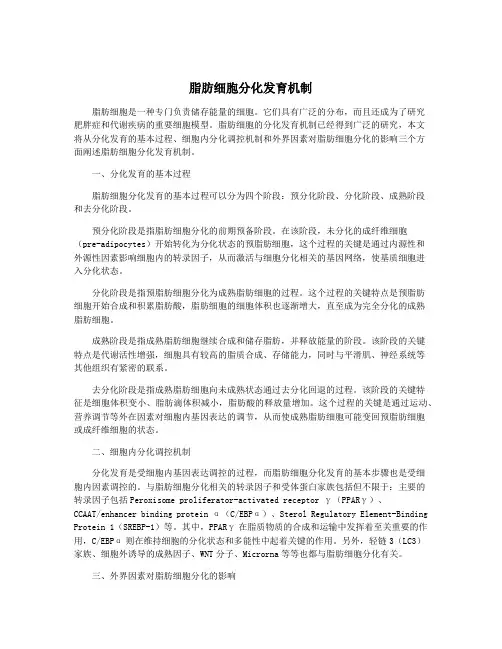 脂肪细胞分化发育机制