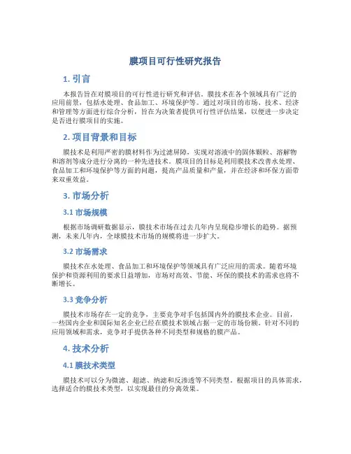 膜项目可行性研究报告