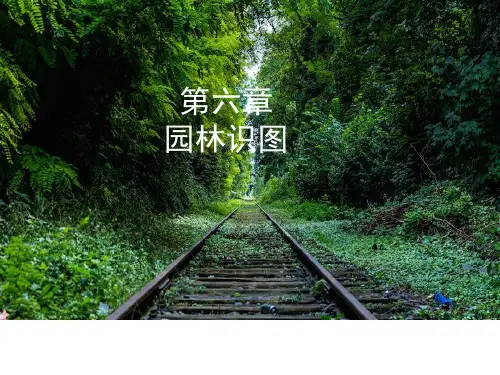 园林工程制图与识图第6章园林施工图绘制及读图