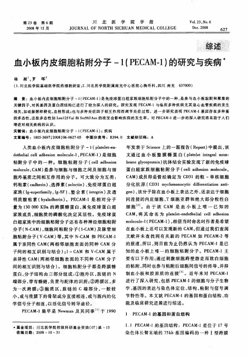 血小板内皮细胞粘附分子-1(PECAM-1)的研究与疾病