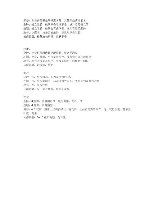 云南黄馨 迎春 金钟 连翘 的区分