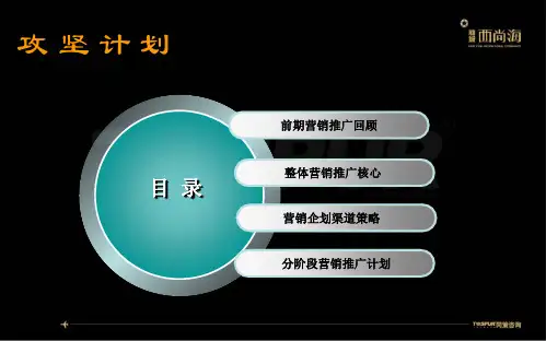 新城西尚海企划推广策略10.