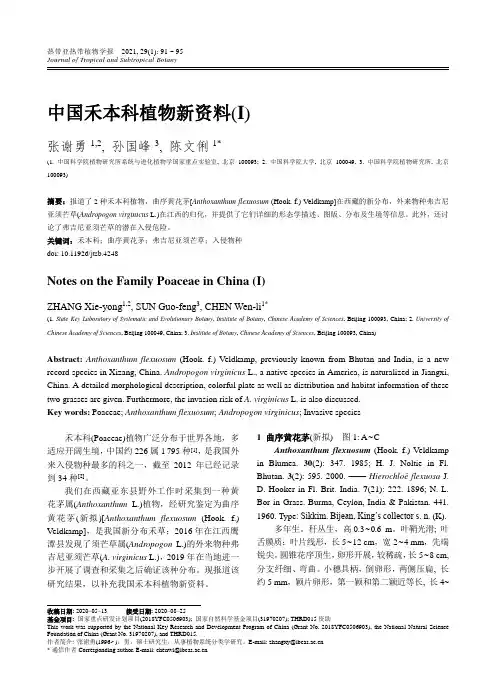 中国禾本科植物新资料(Ⅰ)