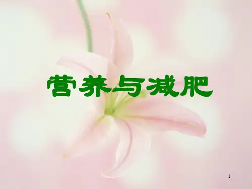 营养与减肥ppt课件