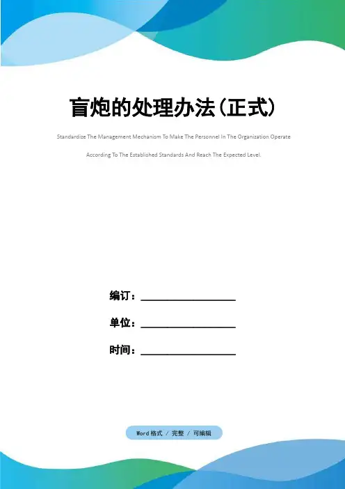 盲炮的处理办法(正式)