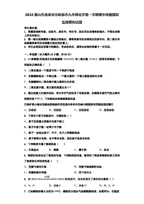 2024届山东省泰安市新泰市九年级化学第一学期期中质量跟踪监视模拟试题含解析