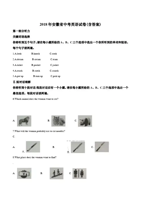 2018年安徽省中考英语真题试题(解析版)