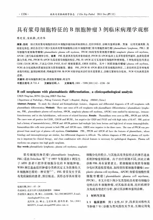 具有浆母细胞特征的B细胞肿瘤3例临床病理学观察