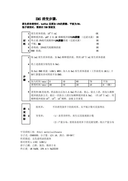 EMS诱变步骤