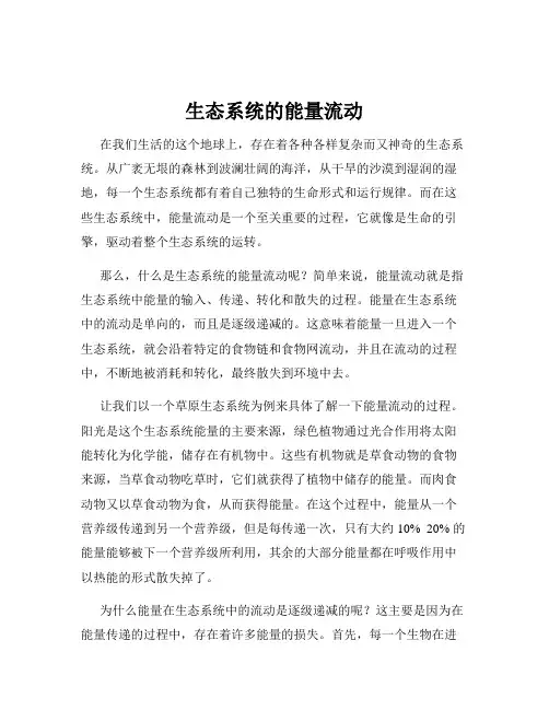 生态系统的能量流动