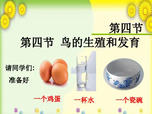 人教版八年级下册第七单元第一章第四节  鸟的生殖和发育课件(共51张PPT)