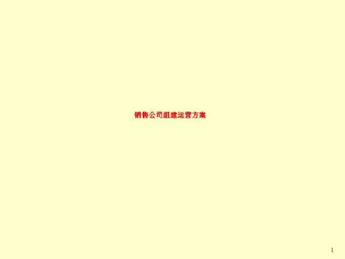 销售公司组建运营方案