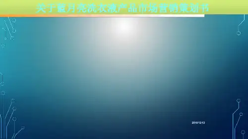 蓝月亮场营销策划书