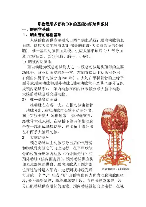 彩色经颅多普勒TCD的基础知识培训教材