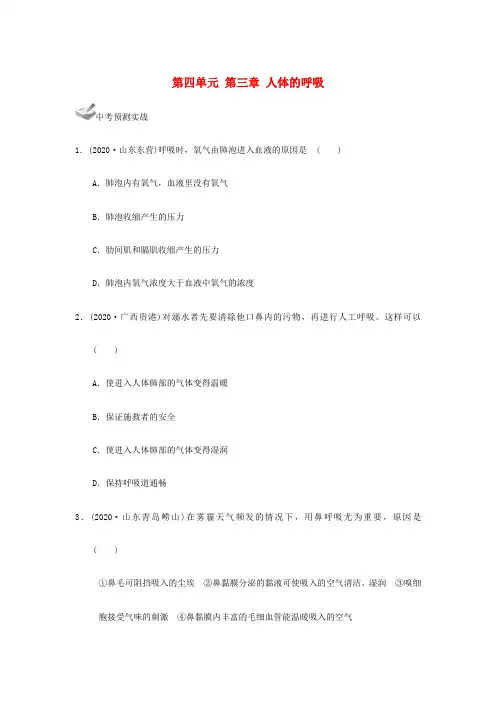 2020届中考生物一轮复习 第四单元 第三章 人体的呼吸 新人教版