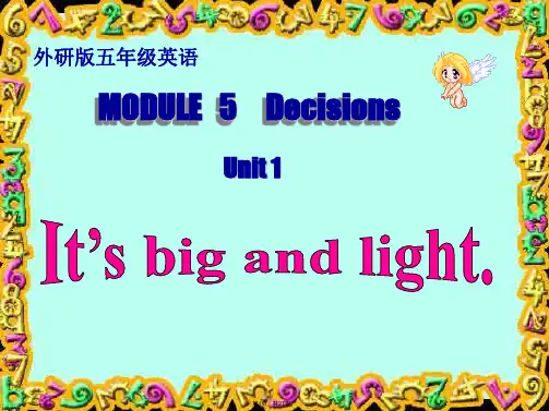 It-is--big--and--light-课件