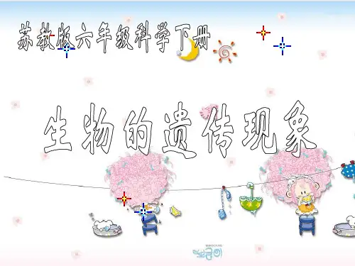 苏教版小学科学六年级下册《生物的遗传现象》