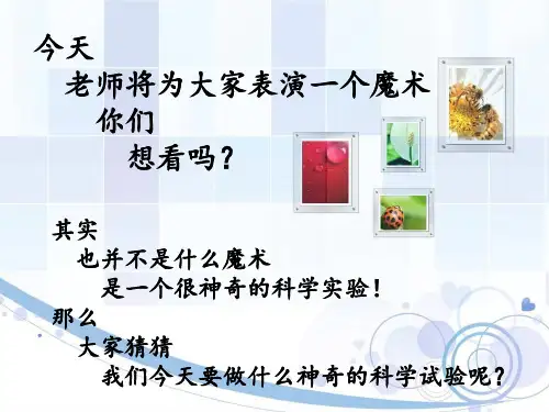 神奇的实验鸡蛋浮起来了