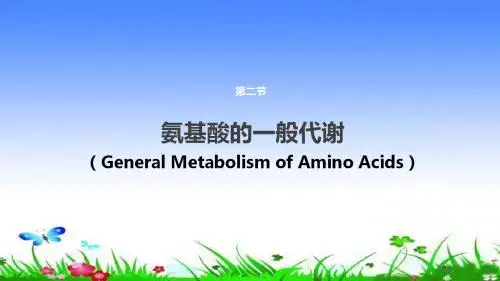 氨基酸的一般代谢