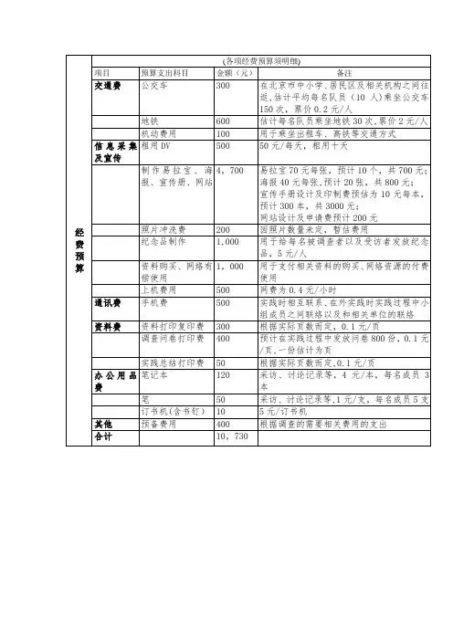 公益项目经费预算