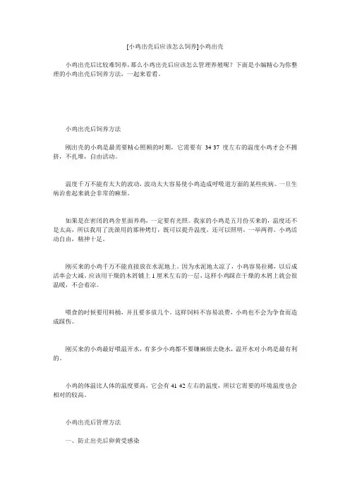 小度写范文[小鸡出壳后应该怎么饲养]小鸡出壳模板