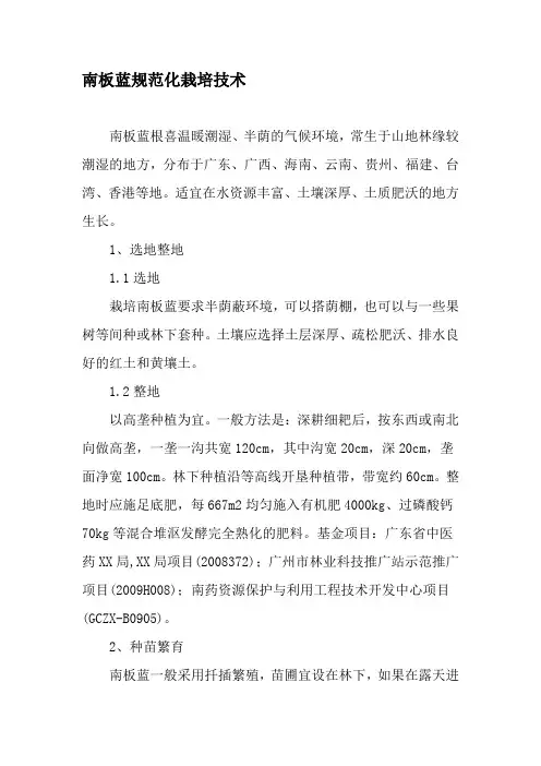 南板蓝规范化栽培技术-2019年文档