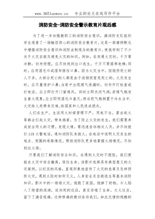 消防安全-消防安全警示教育片观后感