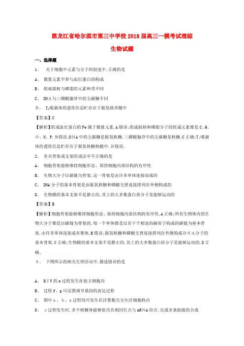 高三生物一模考试试题(含解析)