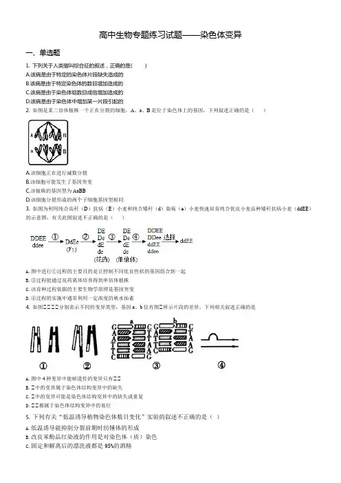 高中生物专题练习试题——染色体变异