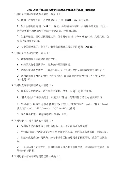 2023-2024学年山东省泰安市新泰市七年级上学期期中语文试题
