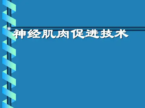 神经肌肉促进技术