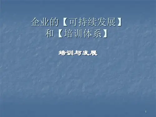 培训与发展ppt课件