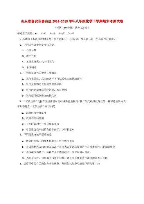 山东省泰安市泰山区八年级化学下学期期末考试试卷 鲁教版五四制