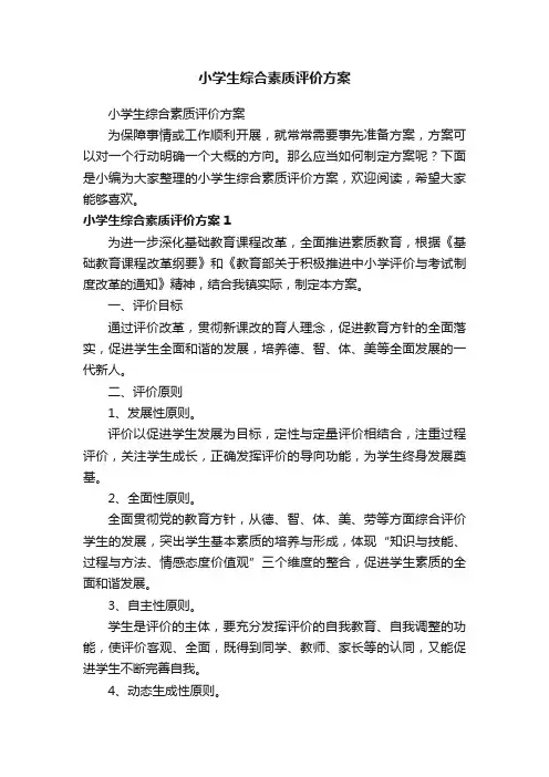 小学生综合素质评价方案