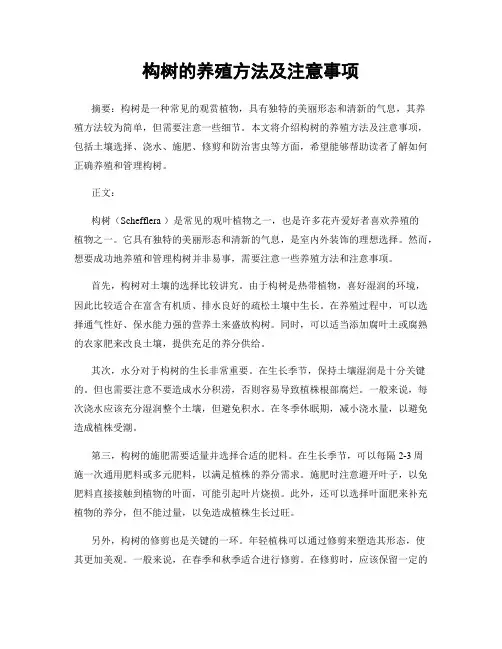 构树的养殖方法及注意事项