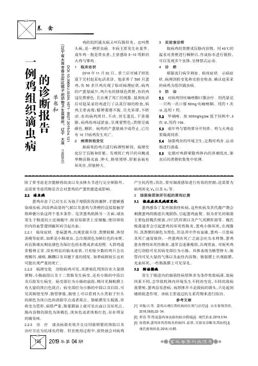 一例鸡组织滴虫病的诊断报告