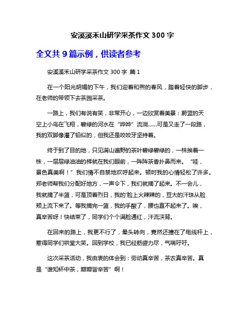 安溪溪禾山研学采茶作文300字