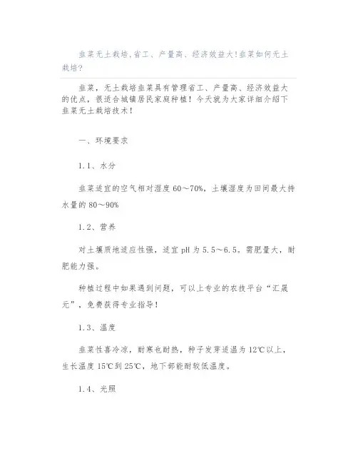 韭菜无土栽培,省工、产量高、经济效益大!韭菜如何无土栽培