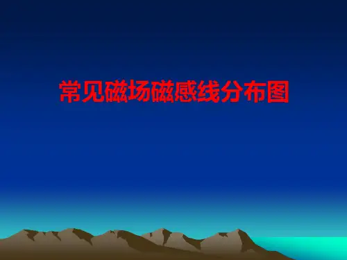 常见磁场磁感线分布图