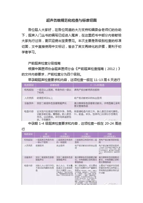 超声各级规范化检查与标准切面