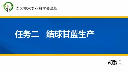 结球甘蓝栽培技术.pptx