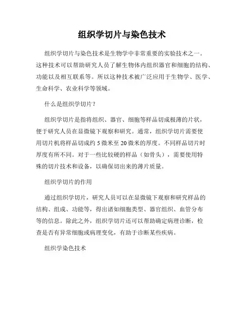 组织学切片与染色技术